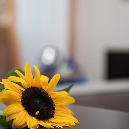 Bed and Breakfast Santa Croce Рим Экстерьер фото